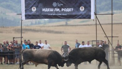 Borbe bikova na Kočićevom zboru okupile hiljade posjetilaca