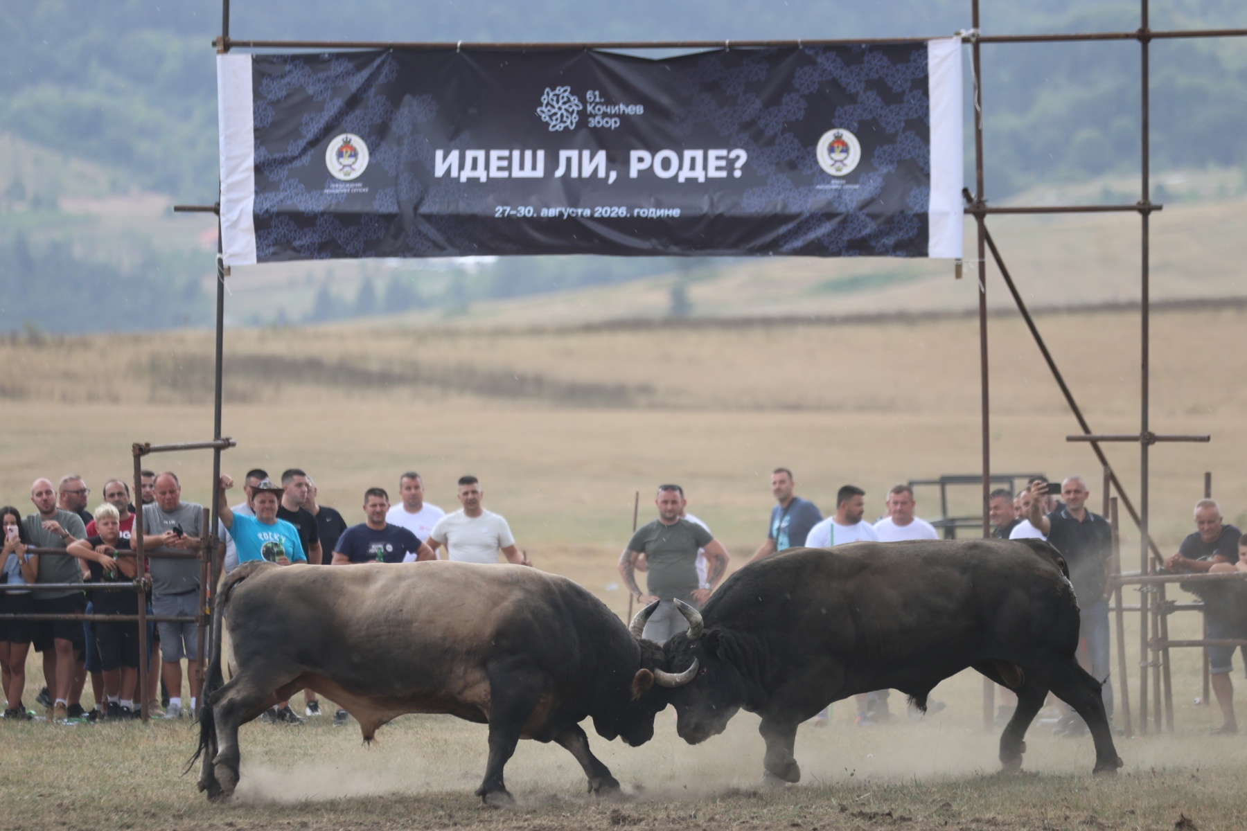 Borbe bikova na Kočićevom zboru okupile hiljade posjetilaca