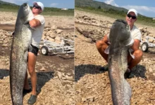 Kapitalac iz Bilećkog jezera: Som od dva metra i 50 kilograma
