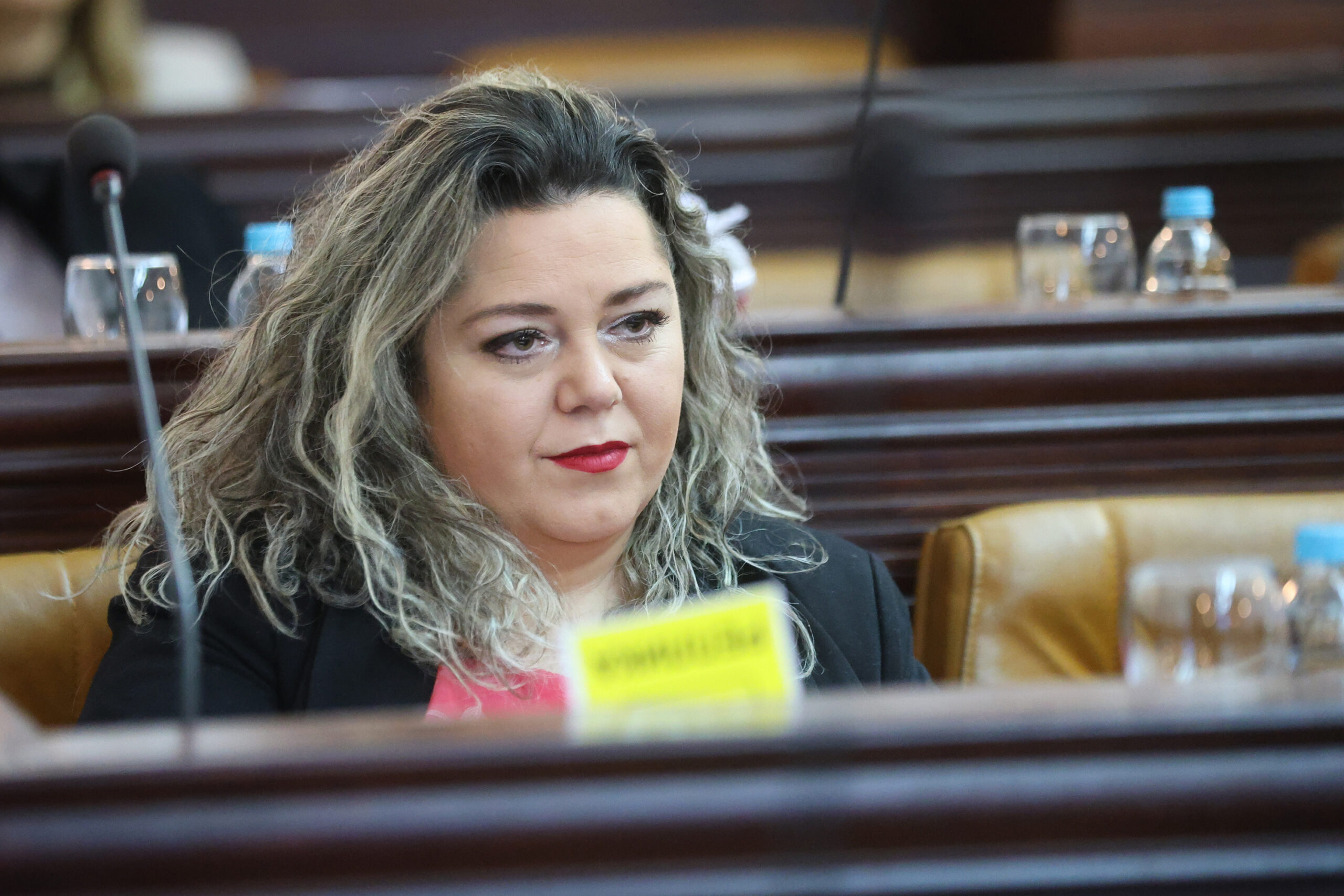 Ješićeva traži vanrednu sjednicu zbog upozorenja o pumpama za vodu
