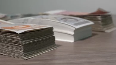 Rekordna ulaganja u poljoprivredu Gradiške i Laktaša