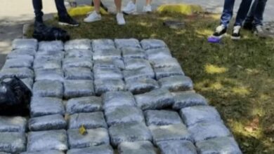 Nihad Bjelak predat tužilaštvu nakon zaplijene 73 kilograma kanabisa