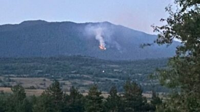 Požar kod Bosanskog Petrovca: Gašenje i šesti dan bez prave podrške