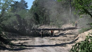 U Srbiji aktivno oko deset požara, na Deliblatskoj pješčari stabilno