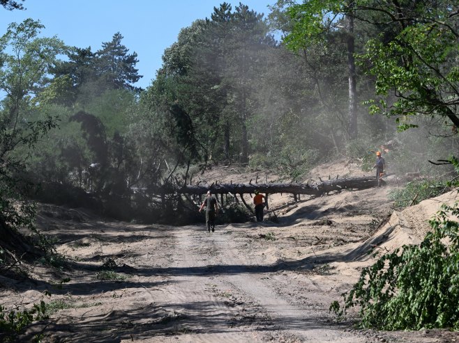 U Srbiji aktivno oko deset požara, na Deliblatskoj pješčari stabilno