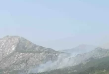 Požar kod Gacka proširio se zbog jakog vjetra, vatrogasci brane kuće