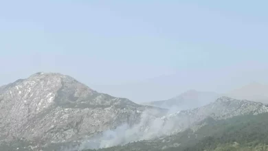 Požar kod Gacka proširio se zbog jakog vjetra, vatrogasci brane kuće