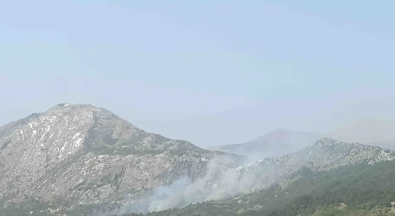 Požar kod Gacka proširio se zbog jakog vjetra, vatrogasci brane kuće