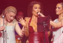 Senidah prekinula koncert u Hrvatskoj zbog napada ledom