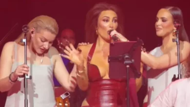 Senidah prekinula koncert u Hrvatskoj zbog napada ledom