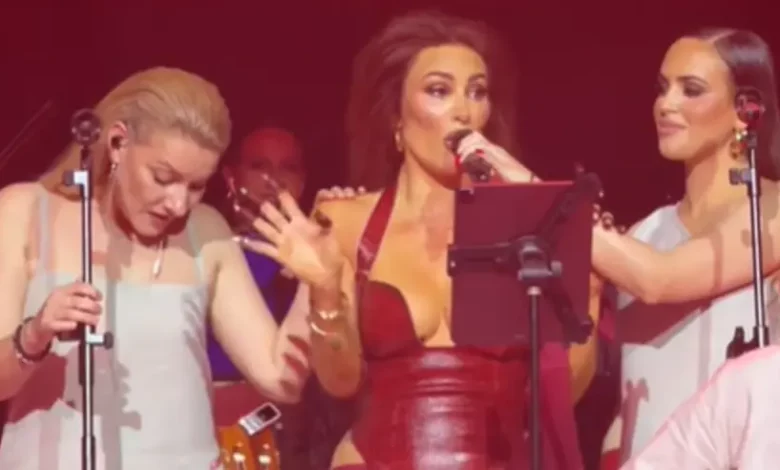 Senidah prekinula koncert u Hrvatskoj zbog napada ledom