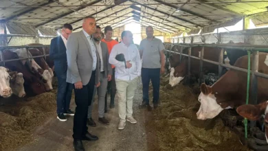 Minić: 200.000 KM za siranu na Manjači