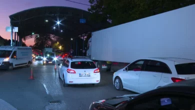 Smokve i grožđe: Stroga pravila za putnike u Hrvatsku