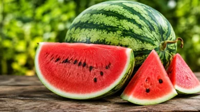 Džinovska lubenica od 84 kilograma izrasla u mađarskom selu