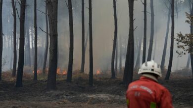 Požari u Francuskoj: Vatra u Varu ponovo uzela maha