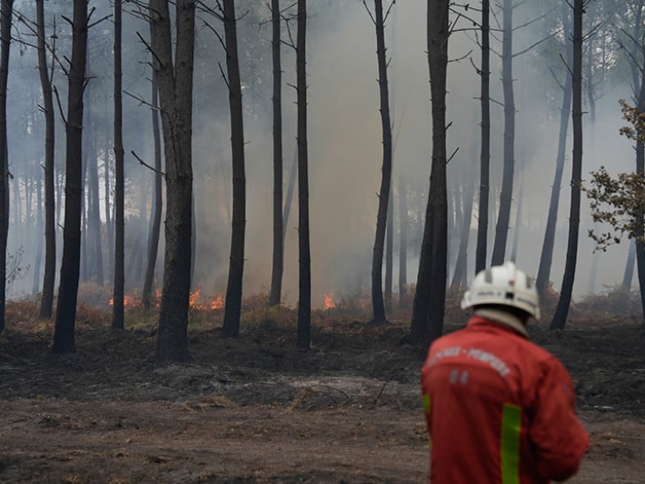 Požari u Francuskoj: Vatra u Varu ponovo uzela maha