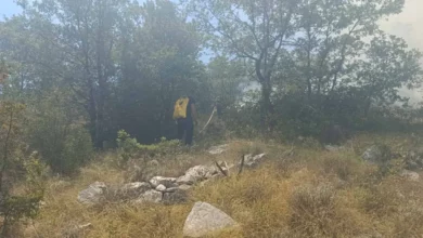 Vatrogasci cijelu noć gasili požar kod Trebinja