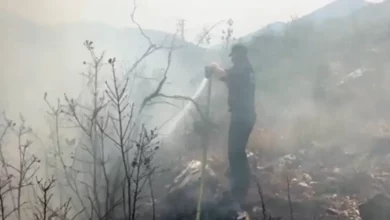 Novi požar kod Trebinja prijeti širenjem ka gradskoj deponiji