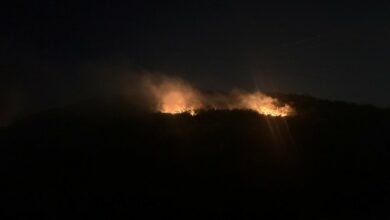Požar kod Trebinja i dalje aktivan, vatra prijeti naselju Gučina