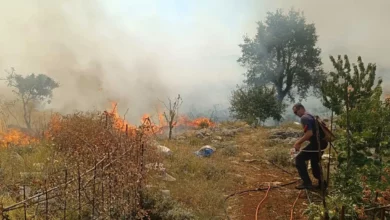 Vatrogasci iz Trebinja cijelu noć u borbi s vatrom u Baošićima