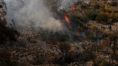 Šumski požari u Evropi: hapšenja u Grčkoj i borba vatrogasaca