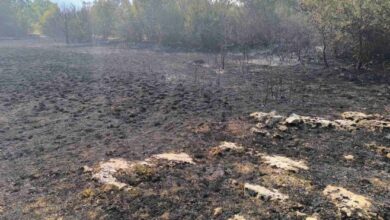 Nakon višednevne borbe: požar u Zupcima pod kontrolom