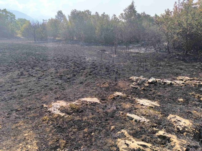 Nakon višednevne borbe: požar u Zupcima pod kontrolom