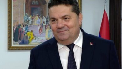Stevandić: novi sistem glasanja rezultat manipulacija u kojima je i Šmit