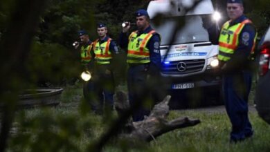 Stradali putnici u prevrtanju autobusa u Mađarskoj