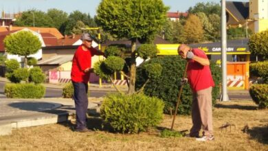 Uređenje zelenih površina u Banjaluci: evo šta je planom predviđeno