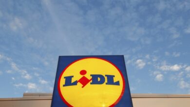 Lidl u BiH traži više od 1.125 radnika