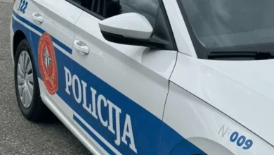 Masovna tuča na koncertu Amadeus benda u Spužu