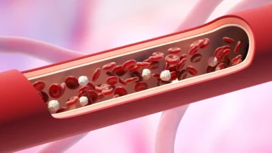 Naučnici otkrili mikroplastiku u ljudskim arterijama