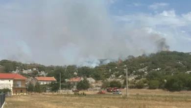 Vatra prijeti kućama u Tulima kod Trebinja