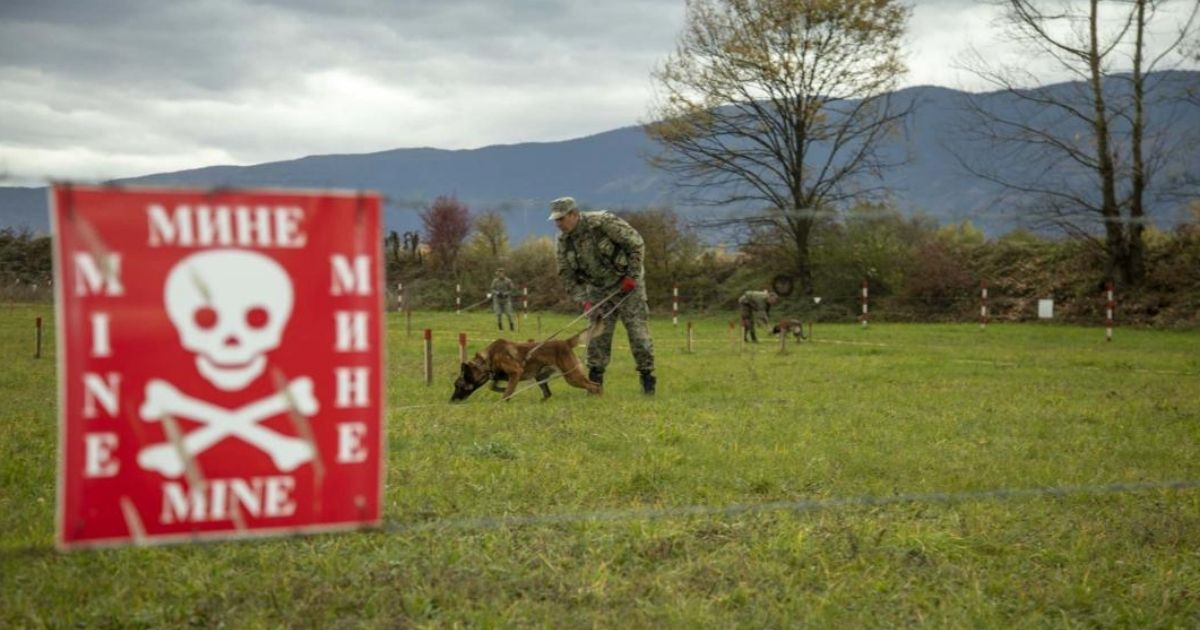 BiH bez mina tek 2032. godine