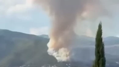 Požari u Crnoj Gori i dalje prijete: vatra se širi prema Đenovićima