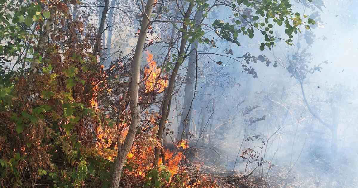Novi požari u Banjaluci na otvorenom prostoru