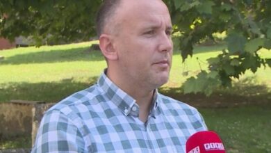 Kojić: pogodnosti za Elfetu Veseli sramota za pravosuđe BiH