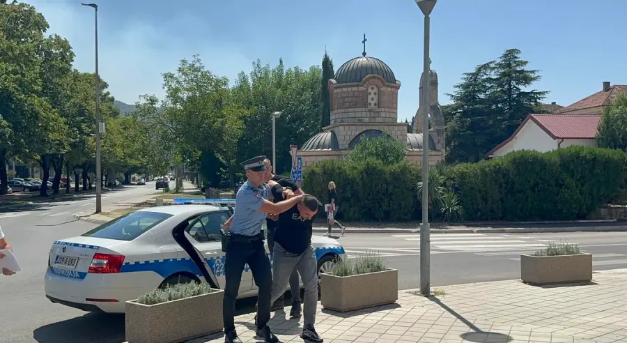 Čubrilu je određen pritvor zbog pomoći Vujoviću
