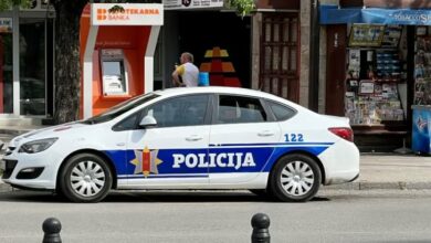 Uhapšen muškarac iz Danilovgrada, kod njega šest komada oružja