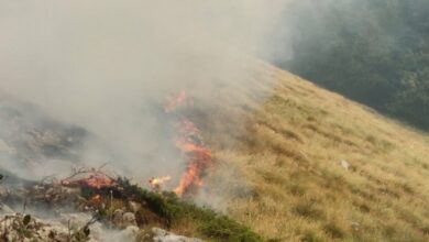 Vatrena stihija u Crnoj Gori ne jenjava