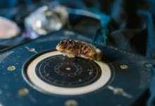 Šta donosi dnevni horoskop: nagrade, poznanstva i susreti iz prošlosti