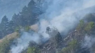 Požari kod Nevesinja pod kontrolom, vatrogasci ostaju na terenu