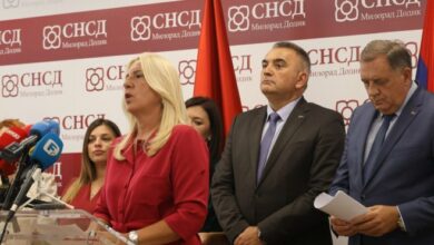 Cvijanović: novo zakonsko rješenje za dodatnu sigurnost trudnica