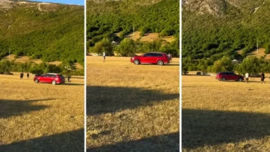 Policija traga za vozačem koji je automobilom pregazio ljude na konjskim trkama u Bijeljanima