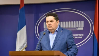 Stevandić o smrti Mladića: Tribunal je postupao nehumano