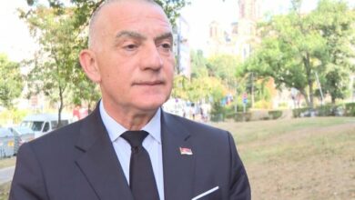 Vujić: Beograd traži hitan završetak istrage o smrti generala Mladića