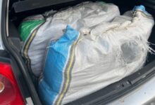 Policija zaplijenila 38 kilograma marihuane u Cijevni i uhapsila 37-godišnjaka