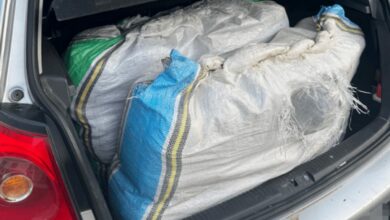 Policija zaplijenila 38 kilograma marihuane u Cijevni i uhapsila 37-godišnjaka