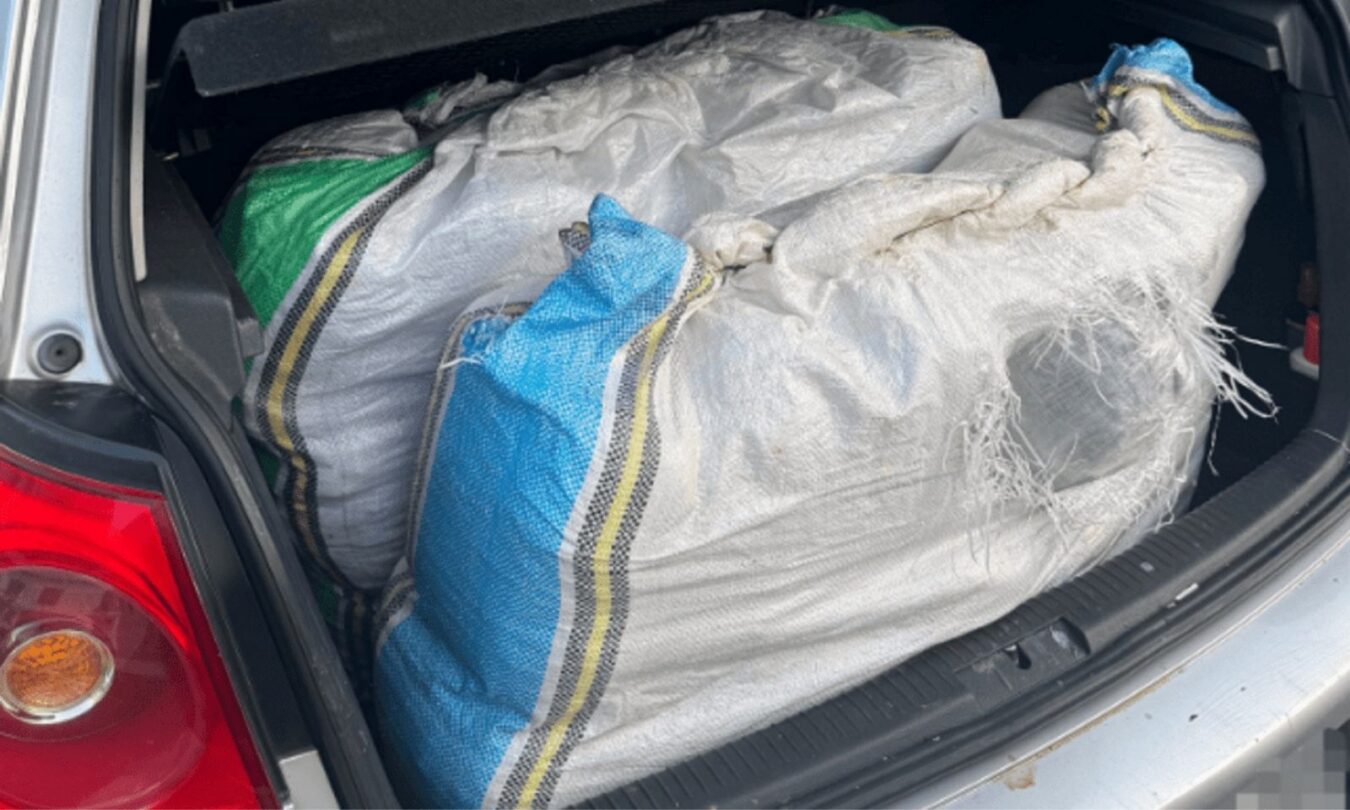 Policija zaplijenila 38 kilograma marihuane u Cijevni i uhapsila 37-godišnjaka